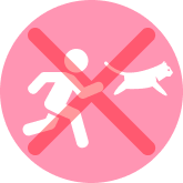 猫を追いかけない